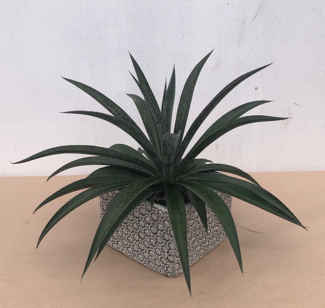Island Tropical Foliage Whole Nursery In Island Tropical Foliage Whole