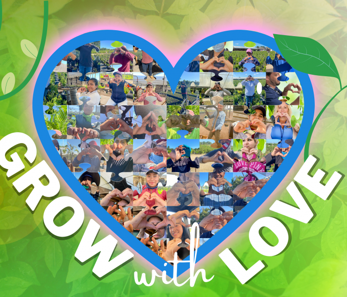 We grow with Love We grow with Love