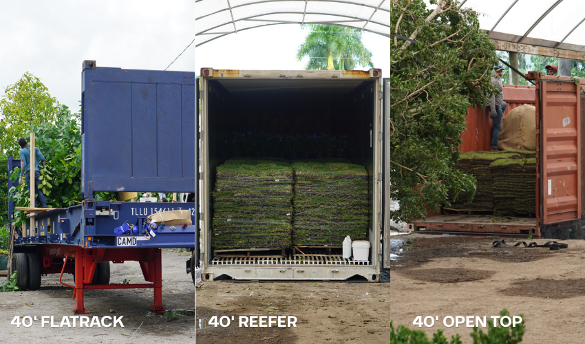 40' FLATRACk 40-foot flat rack container used for wholesale plant export to the Caribbean