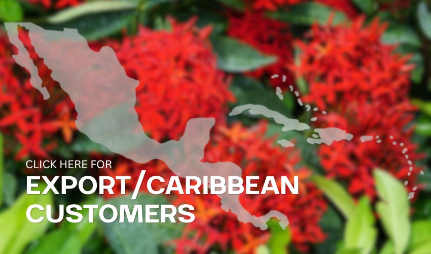 Export_Caribbean_Customer_Island_Tropical_Foliage_Banner Wholesale plant export to the Caribbean from Island Tropical Foliage