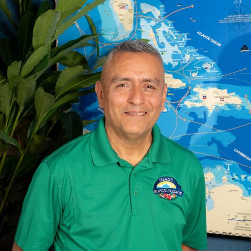 Juan Cespedes Island Tropical Foliage Sales