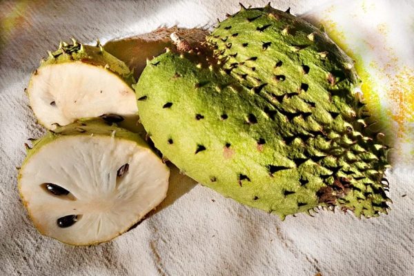 Soursop Soursop fruit