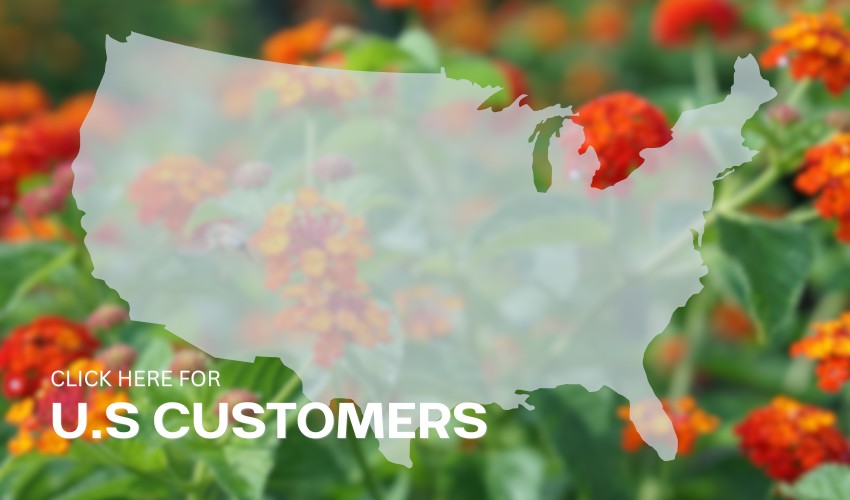 US_Customer_Island_Tropical_Foliage_Inc_Banner